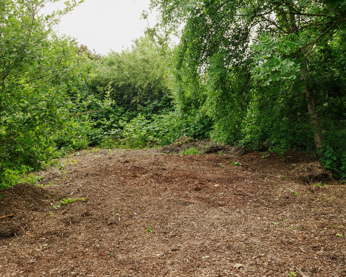 Radschnellweg RS1 im Ruhrgebiet