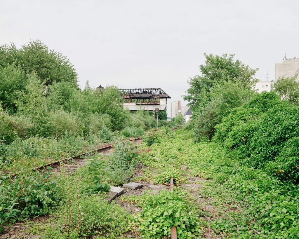Radschnellweg RS1 im Ruhrgebiet
