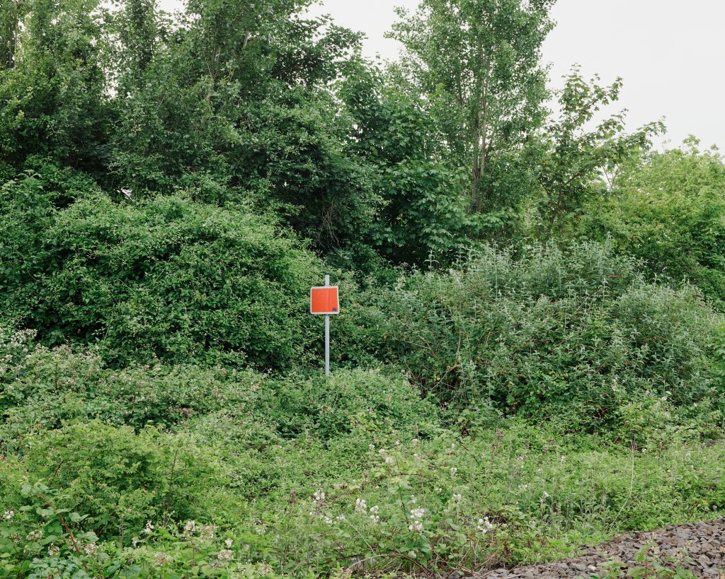 Radschnellweg RS1 im Ruhrgebiet