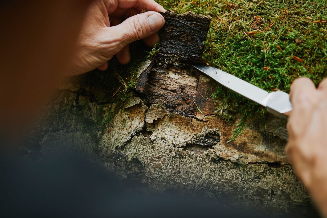 Dr. Carsten Morkel fotografiert für die ”Grüne Ausgabe“ der DB Mobil