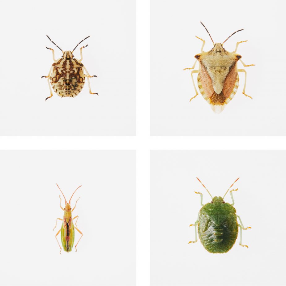 Dr. Carsten Morkel fotografiert für die ”Grüne Ausgabe“ der DB Mobil